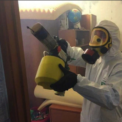 Уничтожение клопов в квартире. Фролово